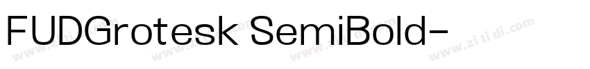 FUDGrotesk SemiBold字体转换